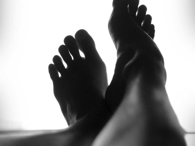 宠物殡葬师<br>rcdjexg.cn 毛孩子告别